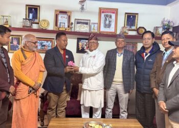 स्याङ्जा–२ मा कांग्रेसका मल्ललाई जय मातृभूमि पार्टीको समर्थन